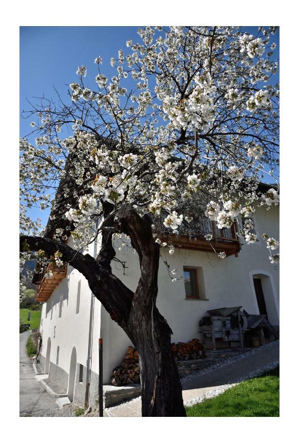 La Maison Abeil L'Argentiere-la-Bessee Exterior foto
