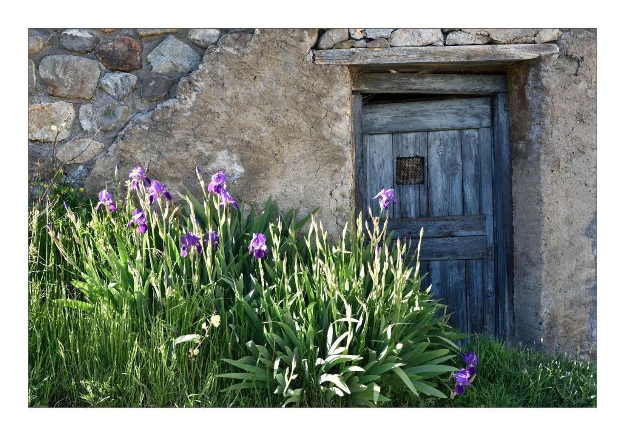 La Maison Abeil L'Argentiere-la-Bessee Exterior foto